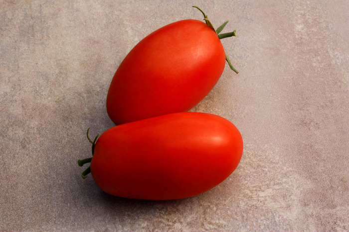 Supremo (STM5817) F1 - Saladette Tomato from Cristina's Garden Center